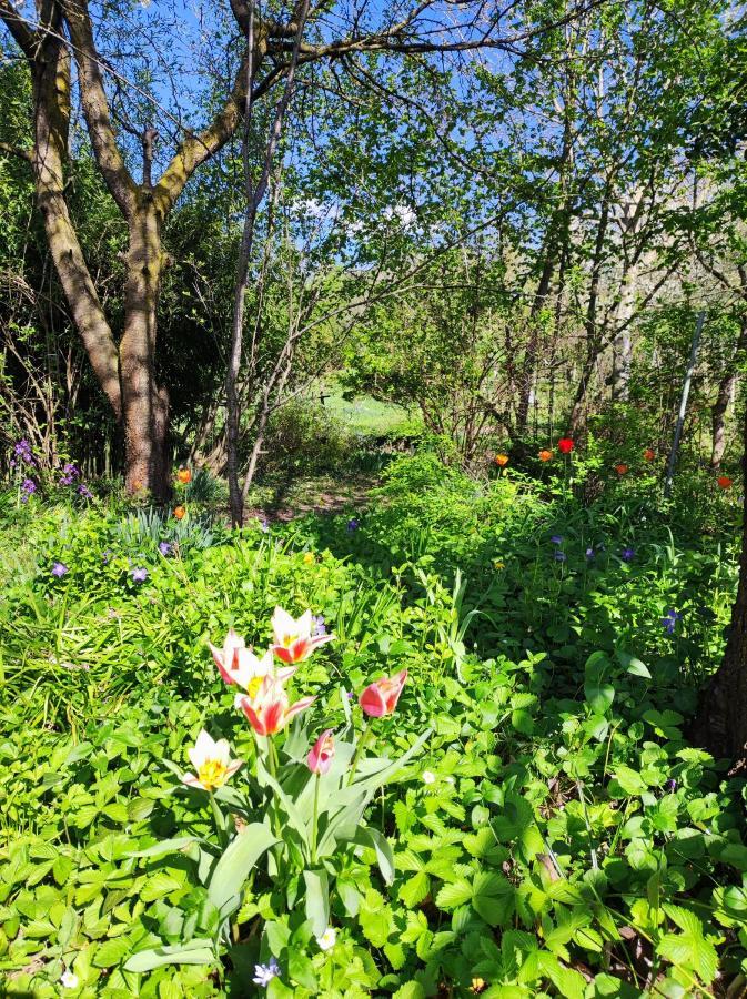 Il Giardino Del Gallo Cherasco Buitenkant foto