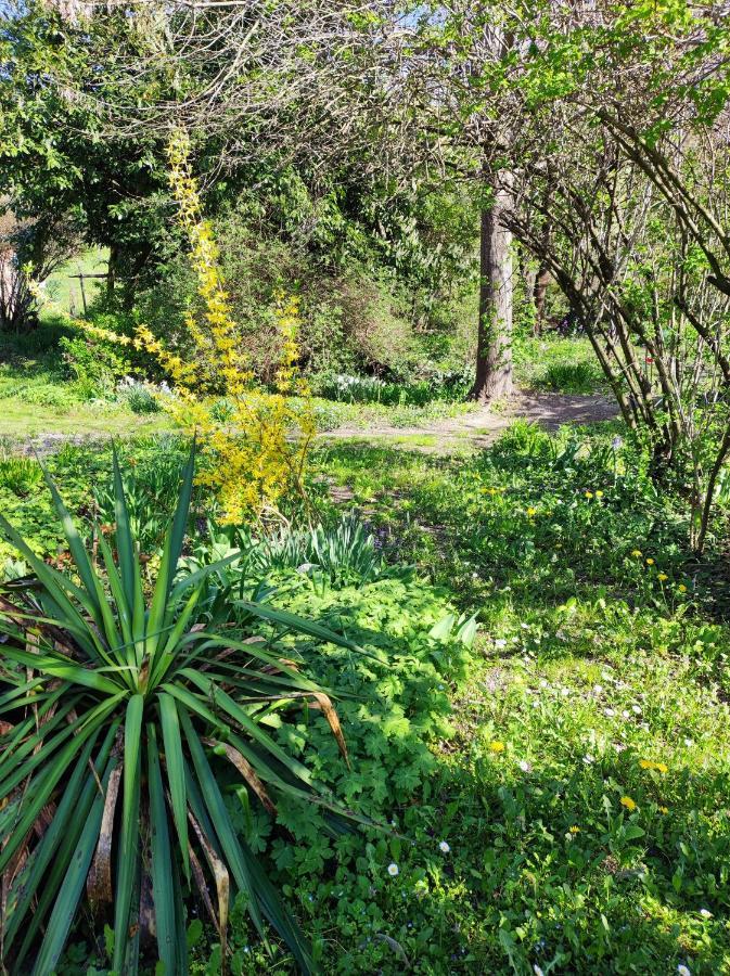 Il Giardino Del Gallo Cherasco Buitenkant foto