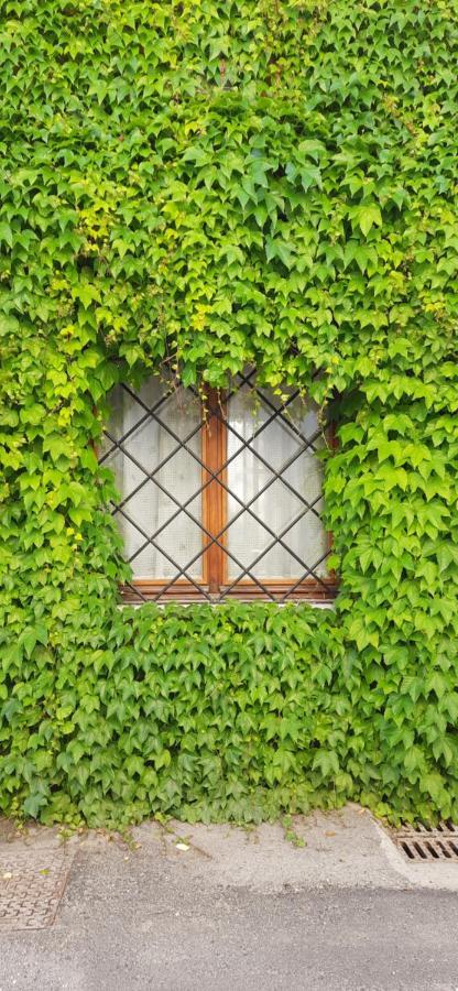Il Giardino Del Gallo Cherasco Buitenkant foto
