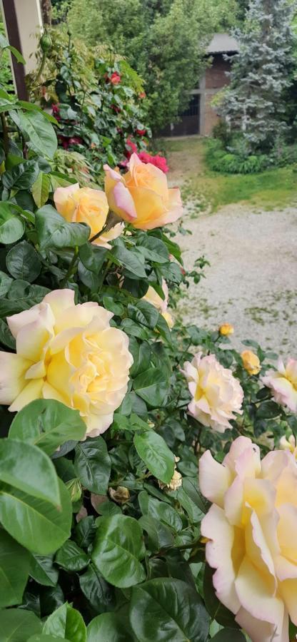 Il Giardino Del Gallo Cherasco Buitenkant foto