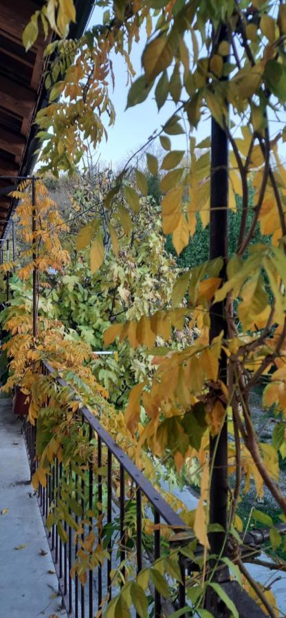 Il Giardino Del Gallo Cherasco Buitenkant foto
