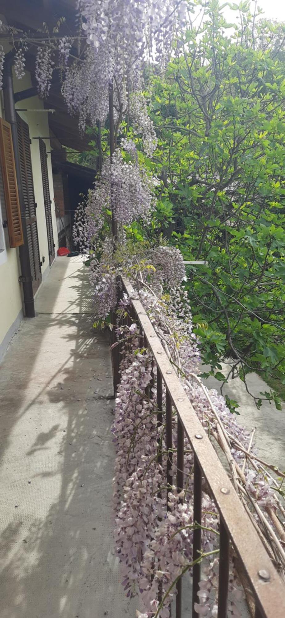 Il Giardino Del Gallo Cherasco Buitenkant foto