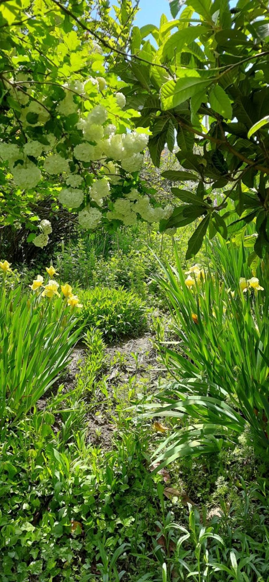 Il Giardino Del Gallo Cherasco Buitenkant foto