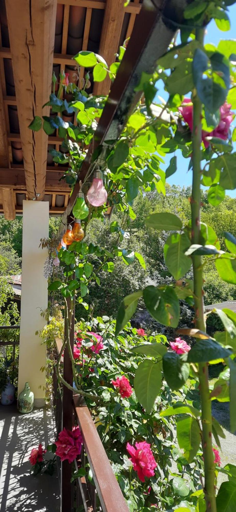 Il Giardino Del Gallo Cherasco Buitenkant foto