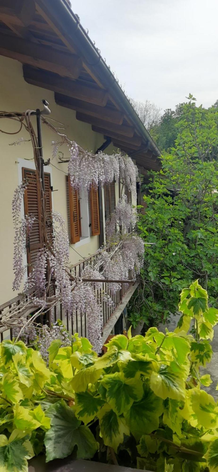 Il Giardino Del Gallo Cherasco Buitenkant foto