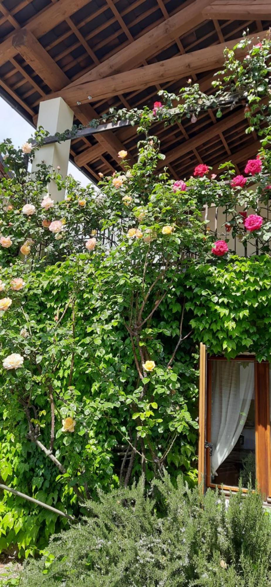 Il Giardino Del Gallo Cherasco Buitenkant foto