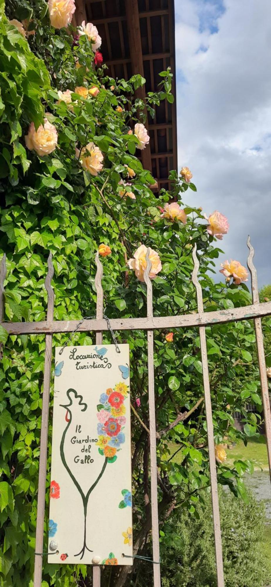 Il Giardino Del Gallo Cherasco Buitenkant foto