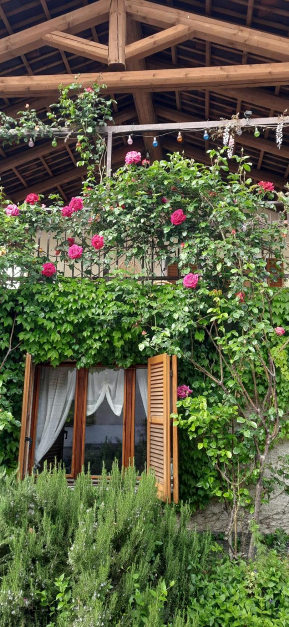 Il Giardino Del Gallo Cherasco Buitenkant foto