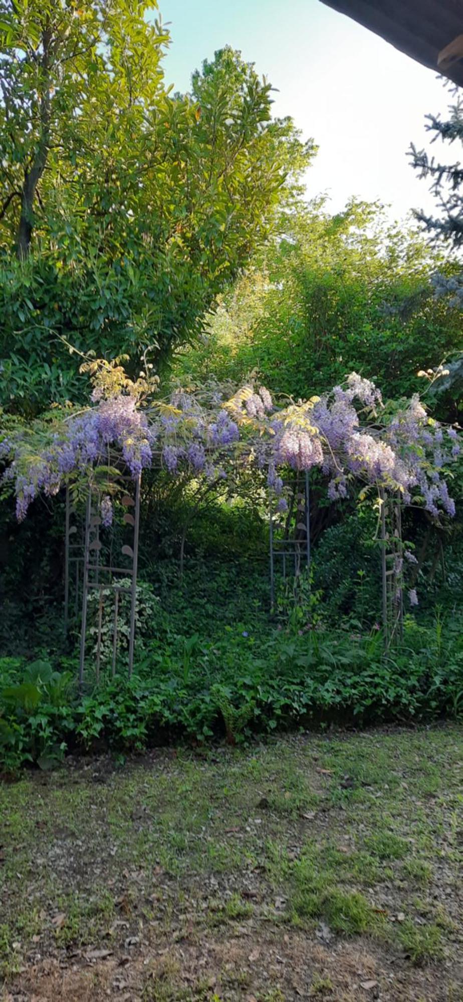Il Giardino Del Gallo Cherasco Buitenkant foto